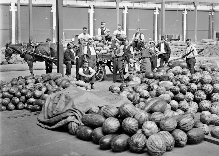 Market workers among melons and pumpkins, City Markets, Haymarket — photograph, from Paddy's Markets, c. 1911–16