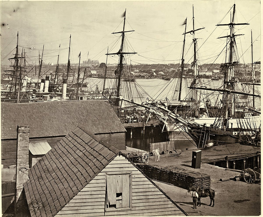 Shipping at Grafton Wharf, Darling Harbour — photograph, from Darling Harbour, 1871