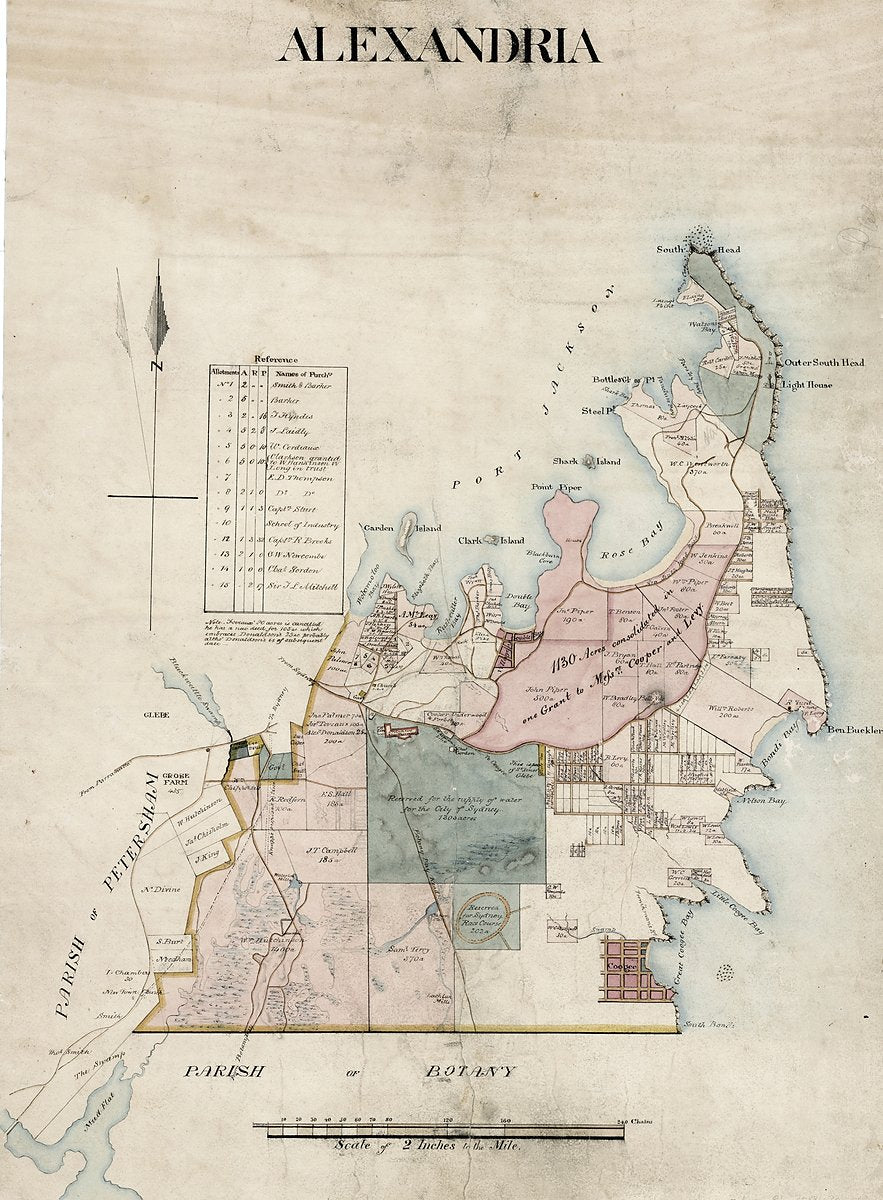 Parish of Alexandria: cadastral map from South Head to Botany — map, from Alexandria, c. 1843