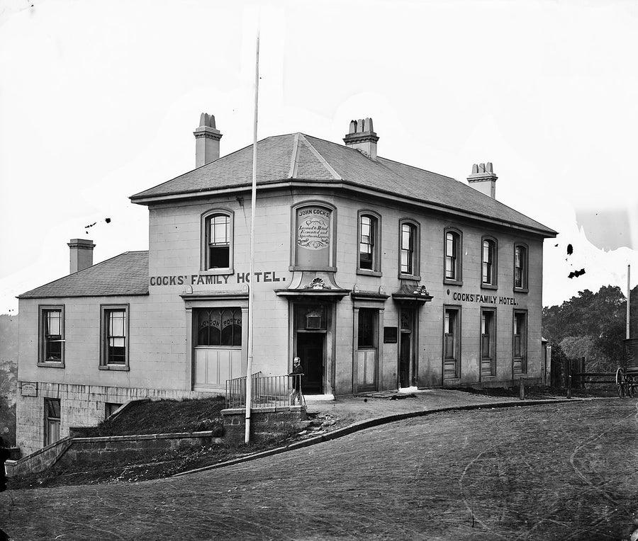 Cocks' Family Hotel at The Gap, South Head — photograph, from The Gap, 1870–75