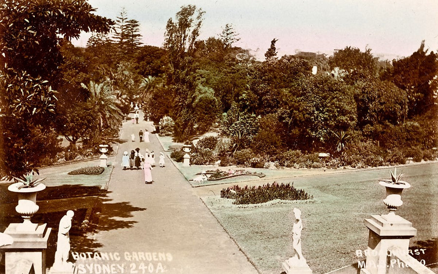 Visitors on a path in the Royal Botanic Garden, Sydney — photograph, from Royal Botanic Garden, c. 1900–27