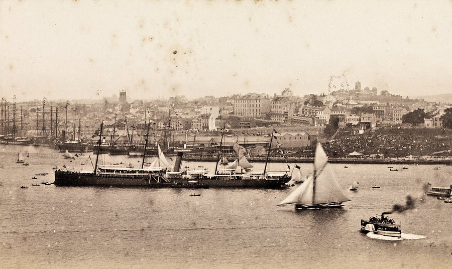 Sydney Harbour waterfront from McMahon's Point — photograph, from McMahons Point, c. 1879–89