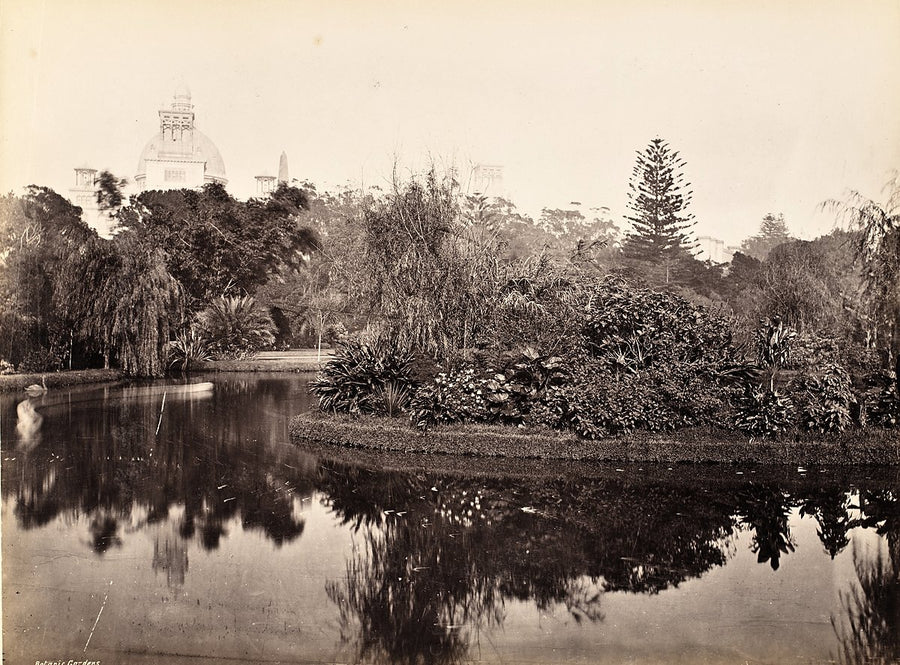 Garden Palace dome above a pond in Sydney's Botanic Gardens — photograph, from Royal Botanic Garden, c. 1879–90