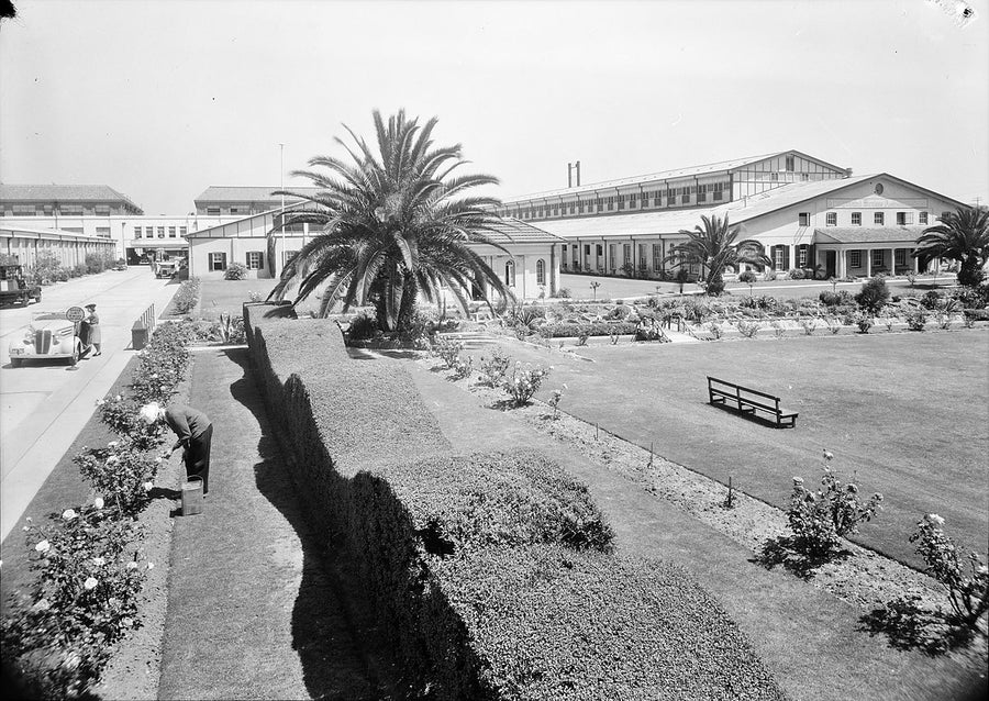 Gardens of the AWA works, Ashfield — photograph, from Ashfield, c. 1940s