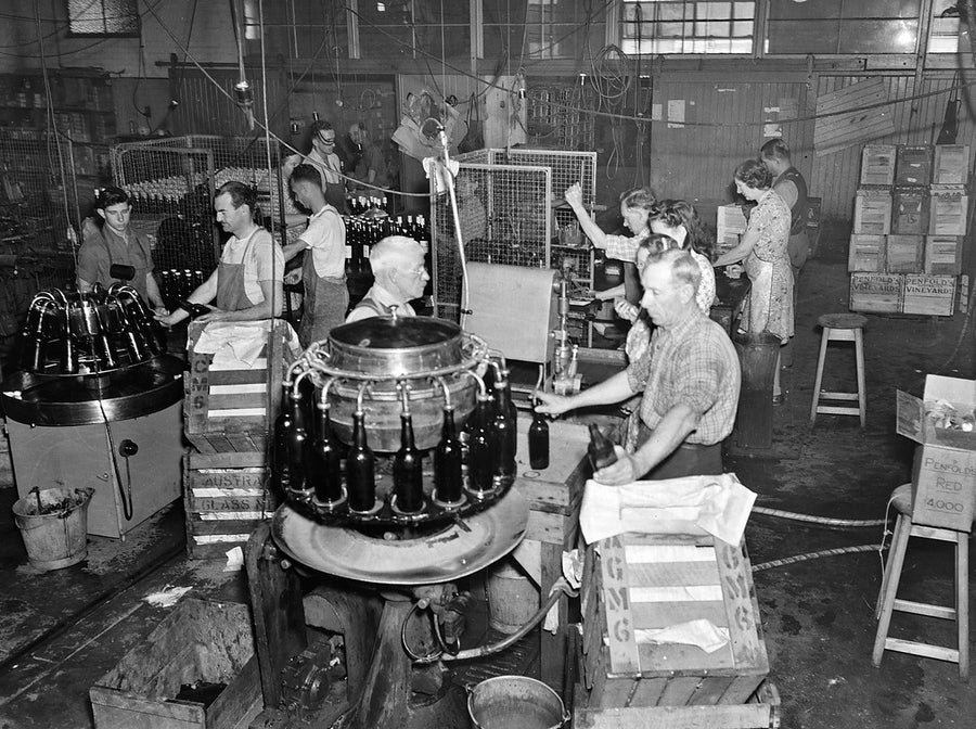 Bottling line at Penfold's factory, Alexandria — photograph, from Alexandria, 1949