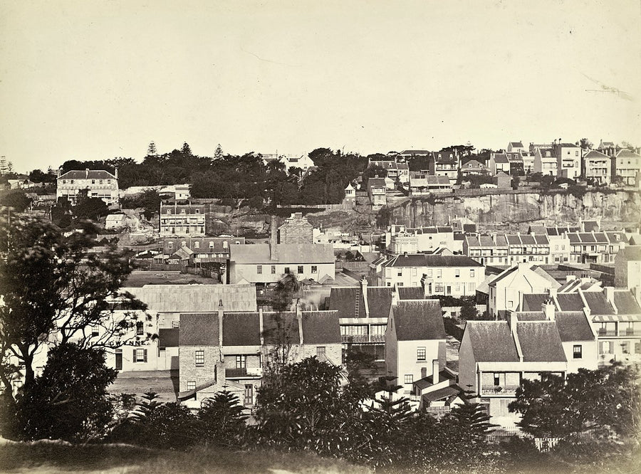 Woolloomooloo rooftops and the Nell Gwynne Hotel below the Potts Point cliffs — photograph, from Woolloomooloo, c. 1875–85