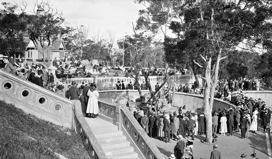 Crowds at a pool enclosure, Taronga Zoological Park — photograph, from Taronga Zoo, c. 1916–30