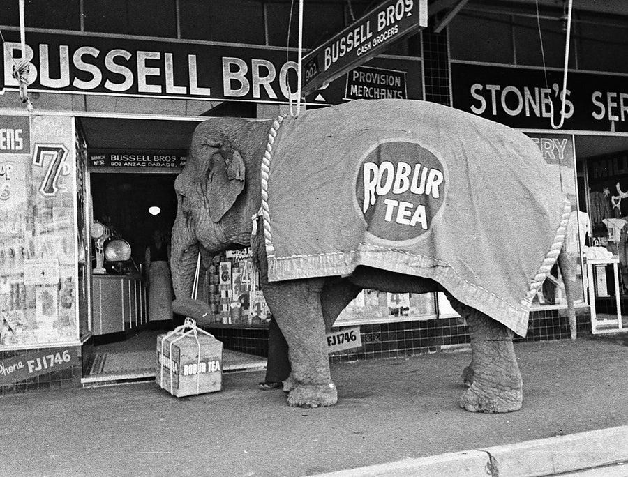 Robur Tea elephant at Bussell Bros, Maroubra Junction — photograph, from Maroubra, 1939