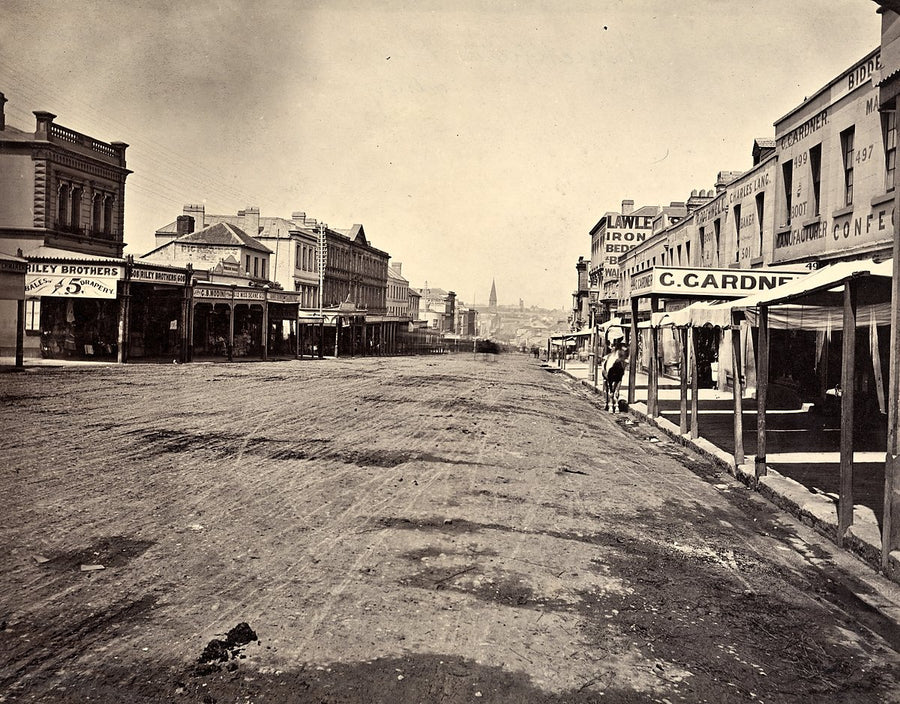 George Street, Sydney, with Riley Brothers drapers and C. Gardner's shops — photograph, from George Street, c. 1879