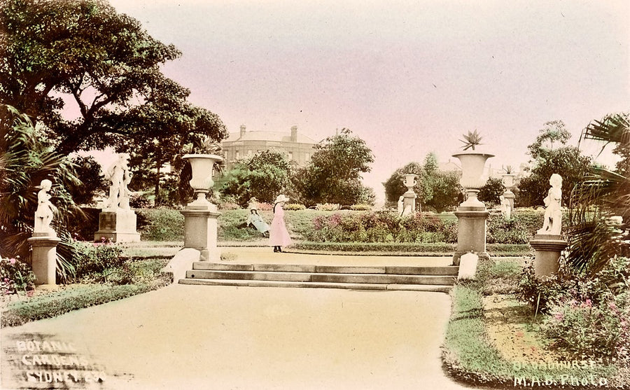 Statue-lined garden path, Royal Botanic Gardens, Sydney — photograph, from Royal Botanic Garden, c. 1900–27