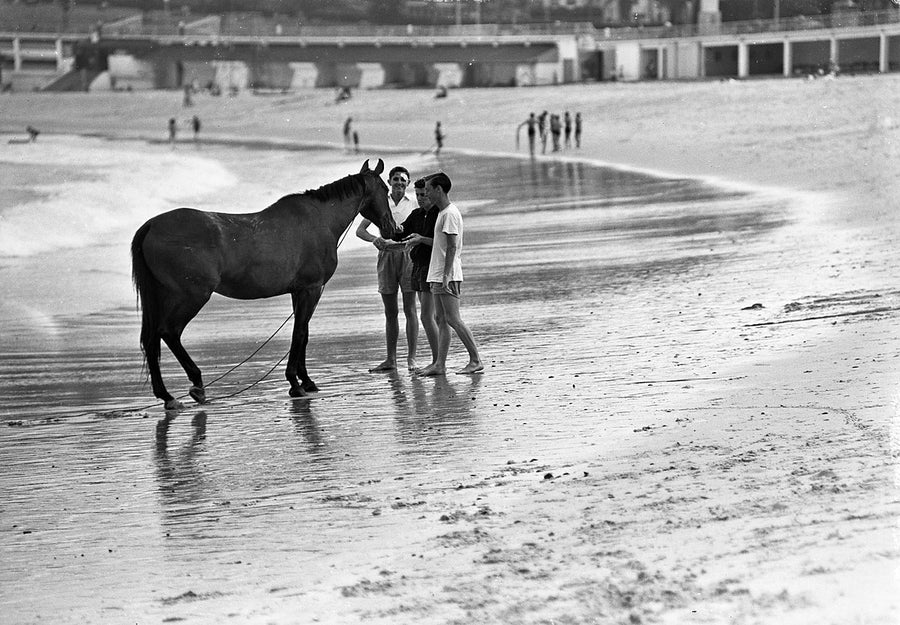 Horse and three youths at the water's edge, Coogee Beach — photograph, from Coogee Beach, 1948