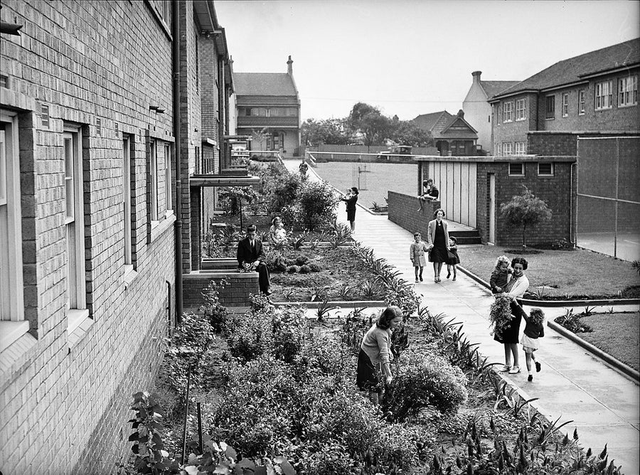 Garden between the Erskineville flats — photograph, from Erskineville, 1940