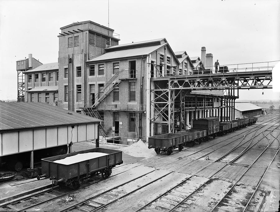State Meat Works: goods wagons on the works railway, Sydney — photograph, from Sydney, c. 1924–27