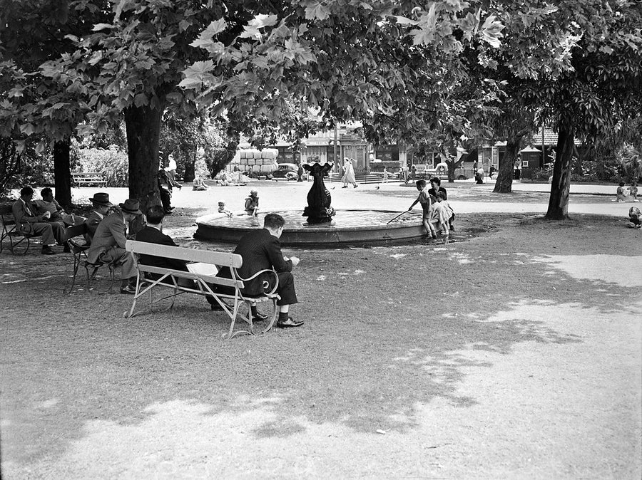 Park fountain and shaded benches, Sydney — photograph, from Sydney, 1949