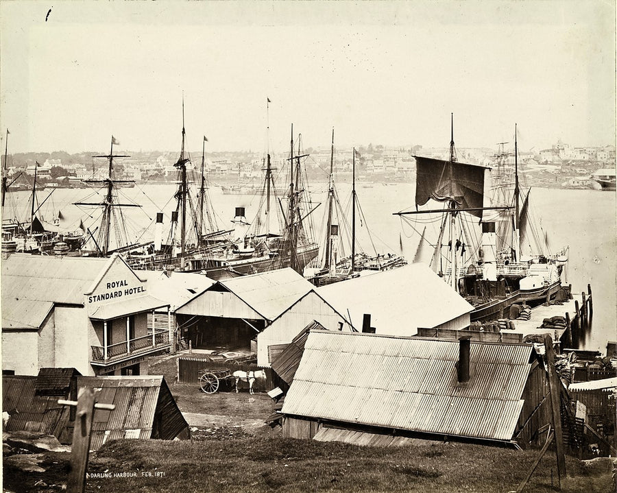 Darling Harbour wharves and the Royal Standard Hotel — photograph, from Darling Harbour, 1871