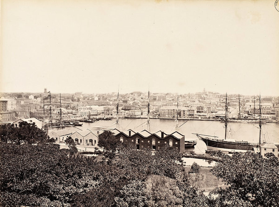 Sydney harbour with warehouses and sailing ships — photograph, from Sydney, c. 1879