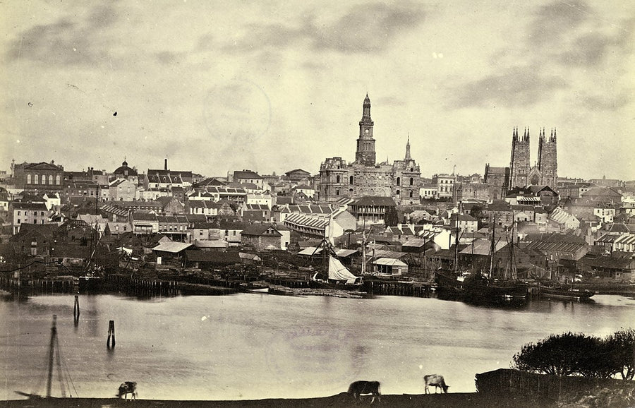 Sydney skyline across Darling Harbour from Pyrmont — photograph, from Pyrmont, c. 1875–78