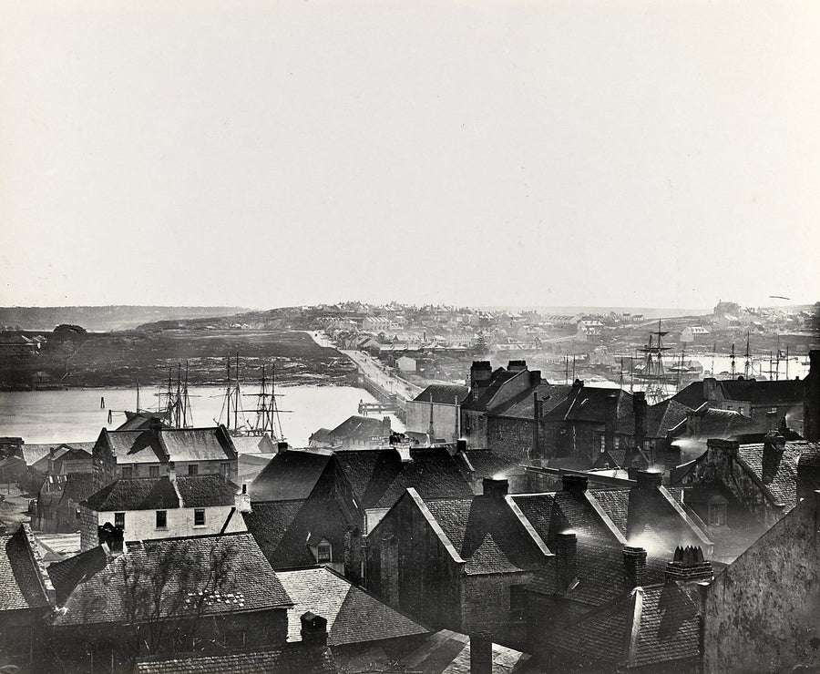 Head of Darling Harbour from the heights of Pyrmont — photograph, from Darling Harbour, 1865–1930