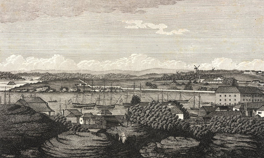 Sydney from Dawes's Point — illustration, from Dawes Point, 1812