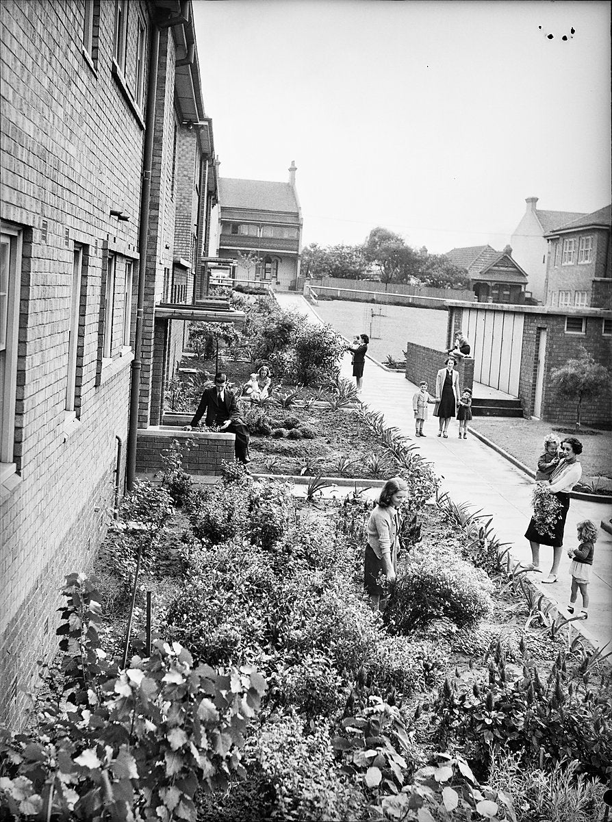 Residents in the garden of an Erskineville flat block — photograph, from Erskineville, 1940