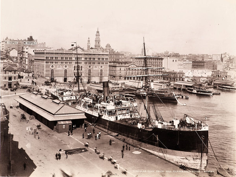 Circular Quay from the Hill, Clarke & Co store, Sydney — photograph, from Sydney CBD, c. 1892–1900