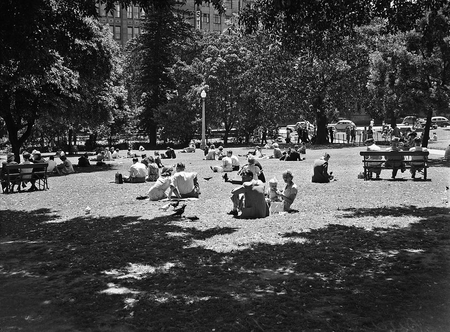 Lunchtime on a Sydney park lawn — photograph, from Sydney, 1950