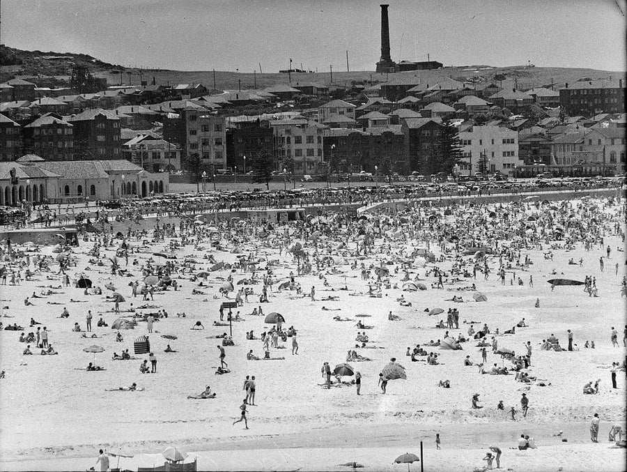Summer crowds on Bondi Beach — photograph, from Bondi Beach, 1950