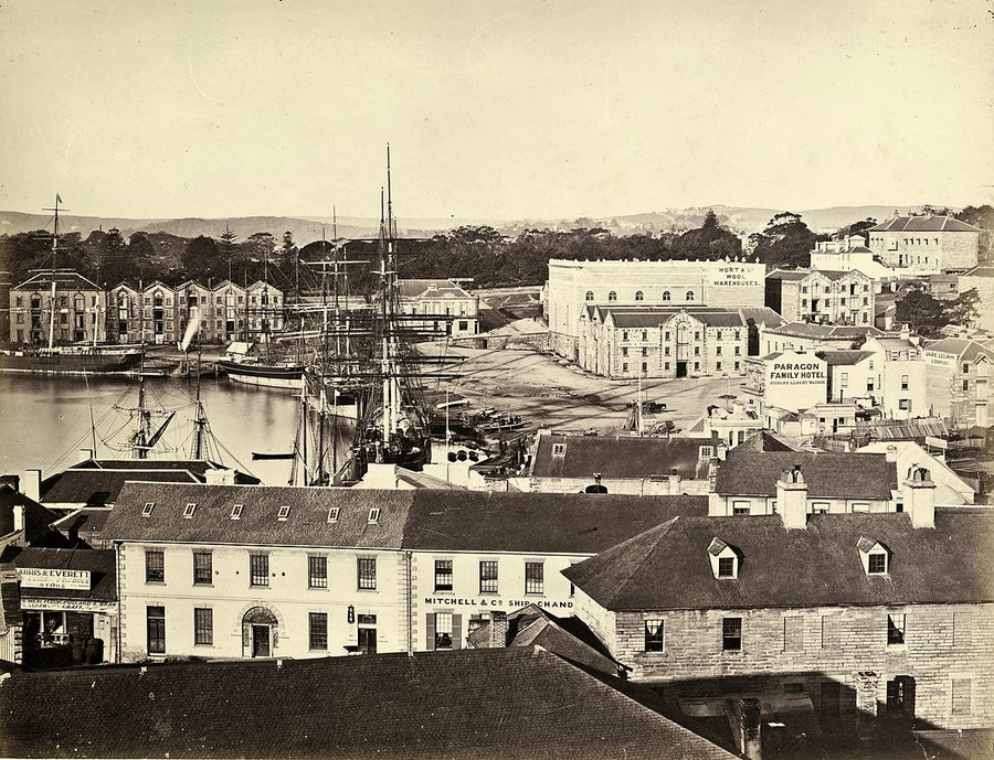 Sydney Cove from George Street, with Mort & Co. wool warehouses and shipping — photograph, from Sydney Cove, c. 1876