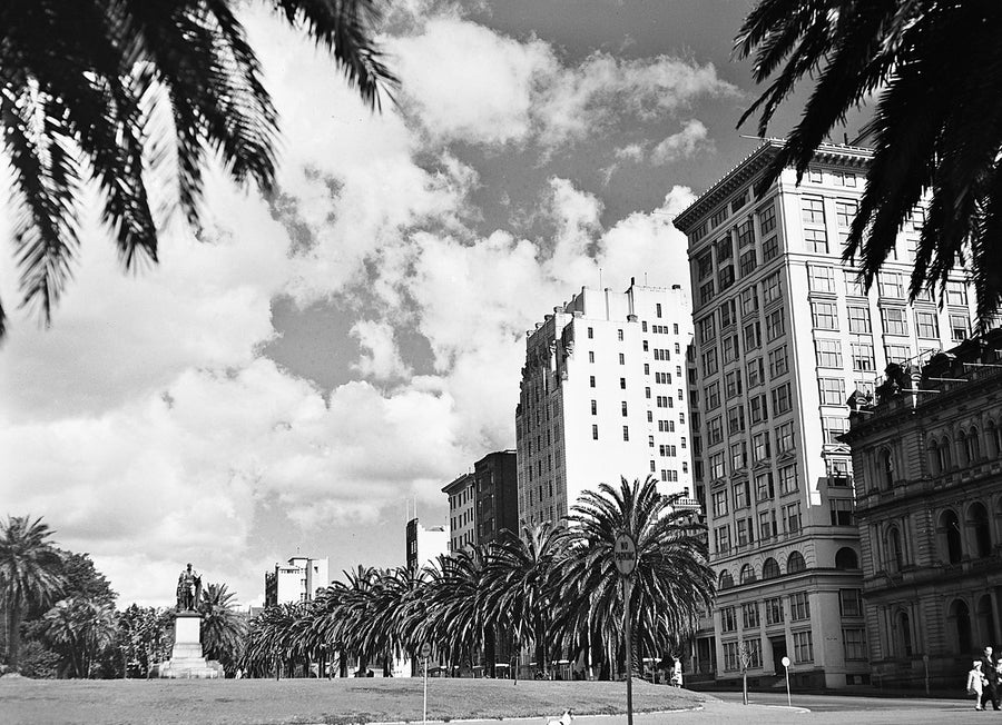 Macquarie Street and the Treasury building from the Domain — photograph, from Sydney, 1951