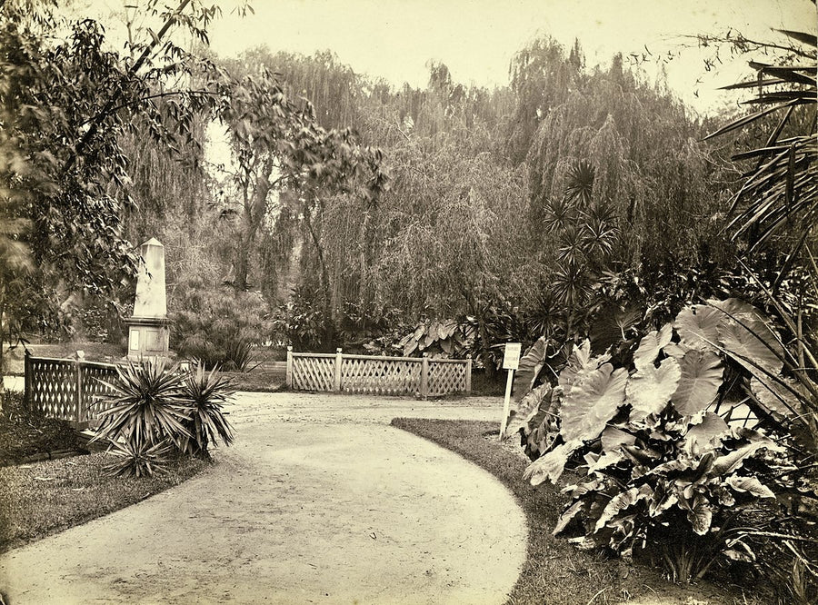 Allan Cunningham monument, Royal Botanic Gardens, Sydney — photograph, from Royal Botanic Garden, c. 1785–1875