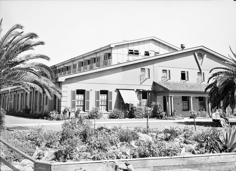AWA factory exterior and garden beds, Ashfield — photograph, from Ashfield, c. 1940s