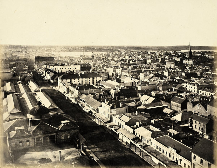Sydney rooftops from the Town Hall clocktower — photograph, from Sydney Town Hall, 1873
