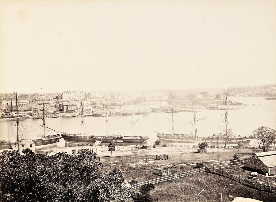 Sailing ships moored along a Sydney harbour foreshore — photograph, from Sydney, c. 1879