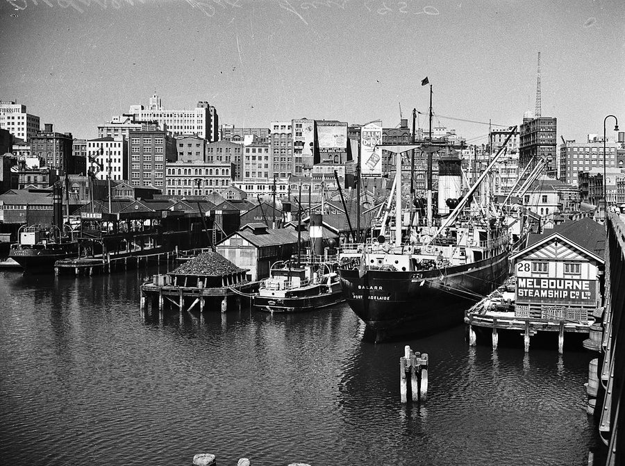 Wharf 28, Darling Harbour, with the Melbourne Steamship Co. shed and a Port Adelaide cargo ship — photograph, from Darling Harbour, 1950