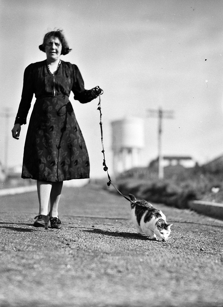 Woman walking a cat on a leash, Marrickville — photograph, from Marrickville, 1938