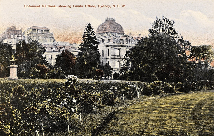 Lands Office from the Botanical Gardens, Sydney — photograph, from Royal Botanic Garden, c. 1910–20