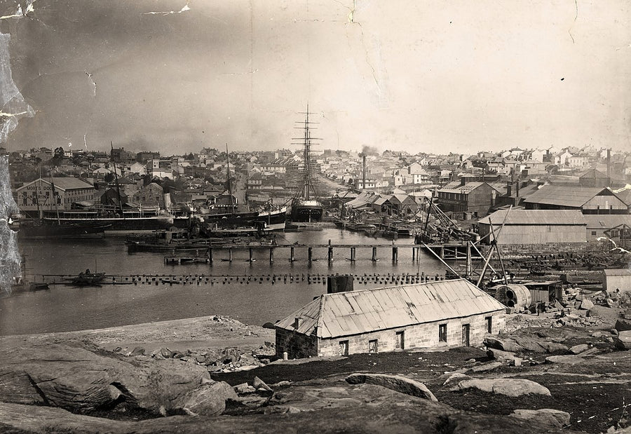 Mort's Dock and Engineering Company, Balmain — photograph, from Mort's Dock, 1887