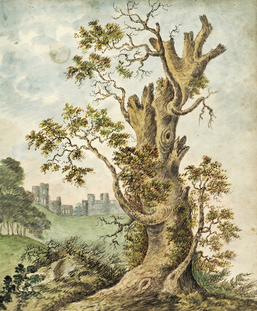 Gnarled tree with a distant house, inscribed 'Mrs Kerr' — illustration, 1837–58