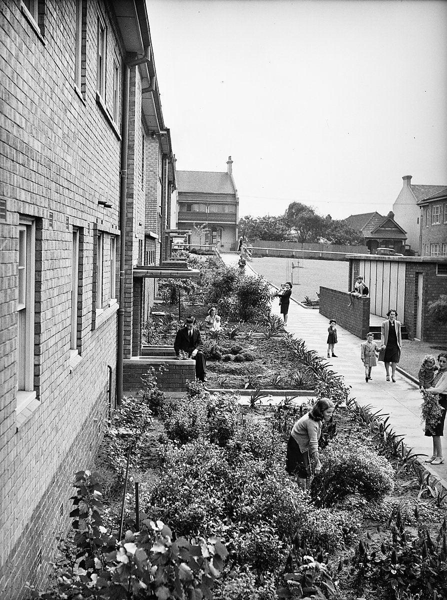 Garden beds beside an Erskineville flat block — photograph, from Erskineville, 1940