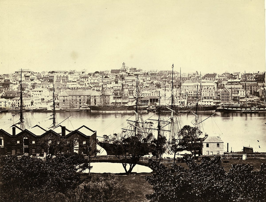 Circular Quay and The Rocks from Government House Tower — photograph, from Sydney CBD, 1870