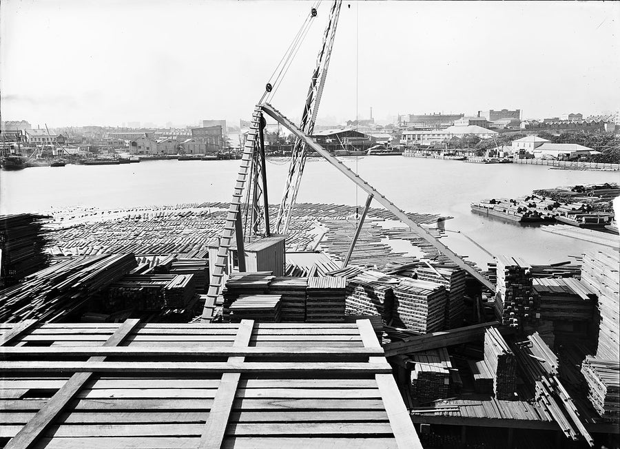 Timber stacks and crane at Hudson's yard, Blackwattle Bay — photograph, from Blackwattle Bay, c. 1922