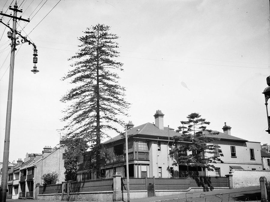 St Kilda House, Cathedral and Palmer Streets, Woolloomooloo — photograph, from Cathedral Street, 1925