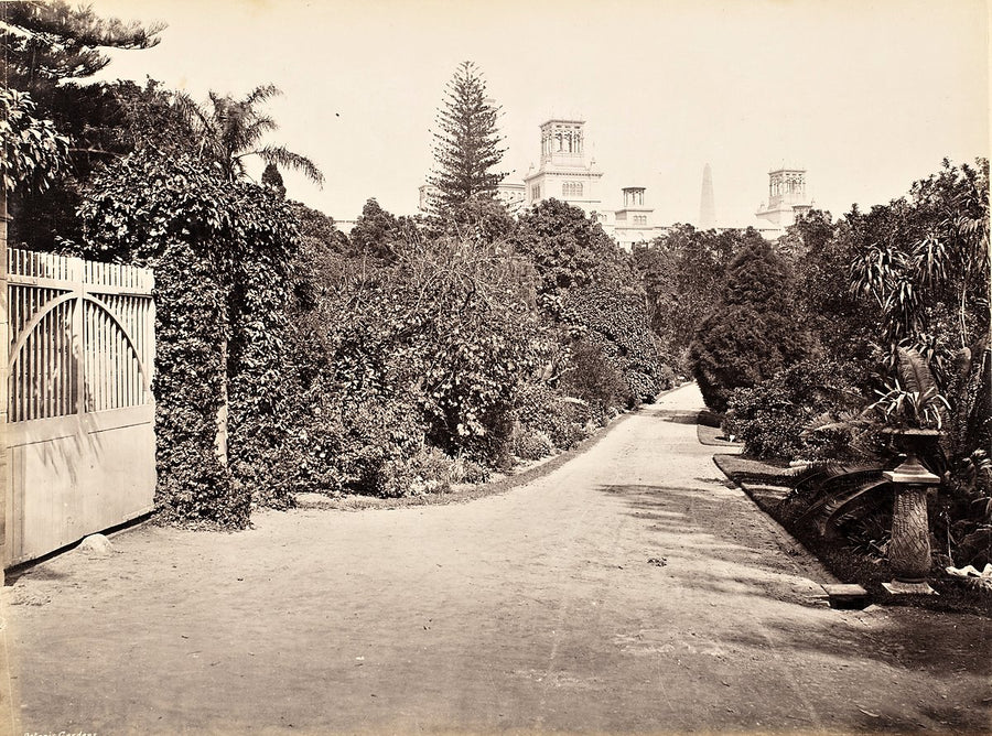 Carriageway and gate in the Botanic Gardens, Sydney — photograph, from Royal Botanic Garden, c. 1870–90