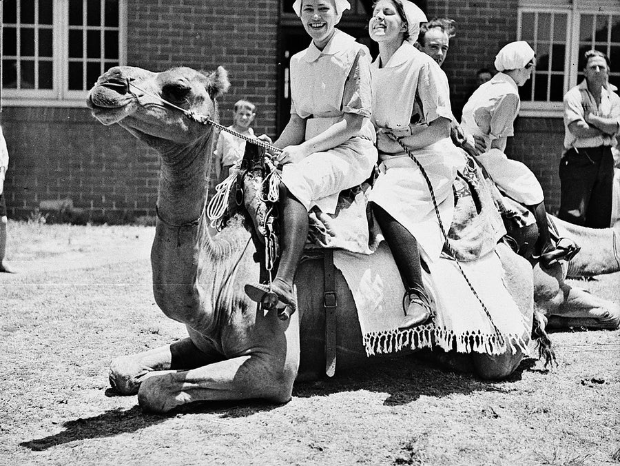 Nurses on a camel, Royal South Sydney Hospital Christmas party — photograph, from Zetland, 1936