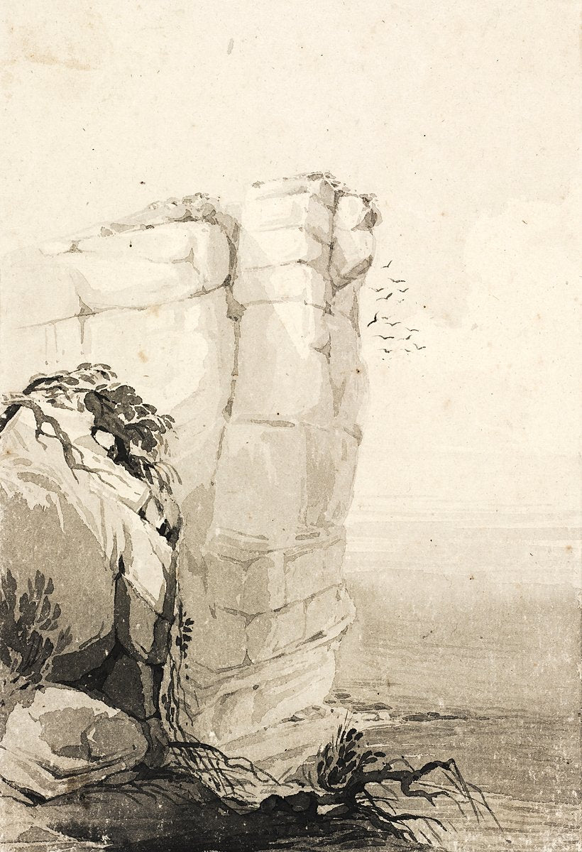 Sea stack and seabirds, cliffs near Bondi — illustration, from Bondi, c. 1838–57