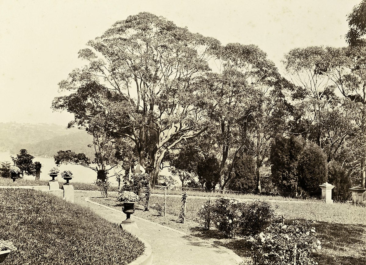 Garden path at "Shellbank", Middle Harbour, Mosman — photograph, from Wyong Road, circa 1900