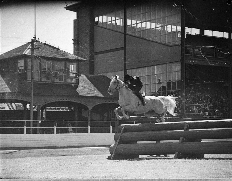 Showjumping over log fence, Sydney Royal Easter Show, 1940 — photograph, from Sydney Showground, Moore Park, Sydney, circa 1940