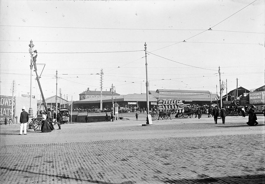 Horse drays on the tram tracks outside Central Station, Sydney — photograph, from Eddy Avenue, circa 1906