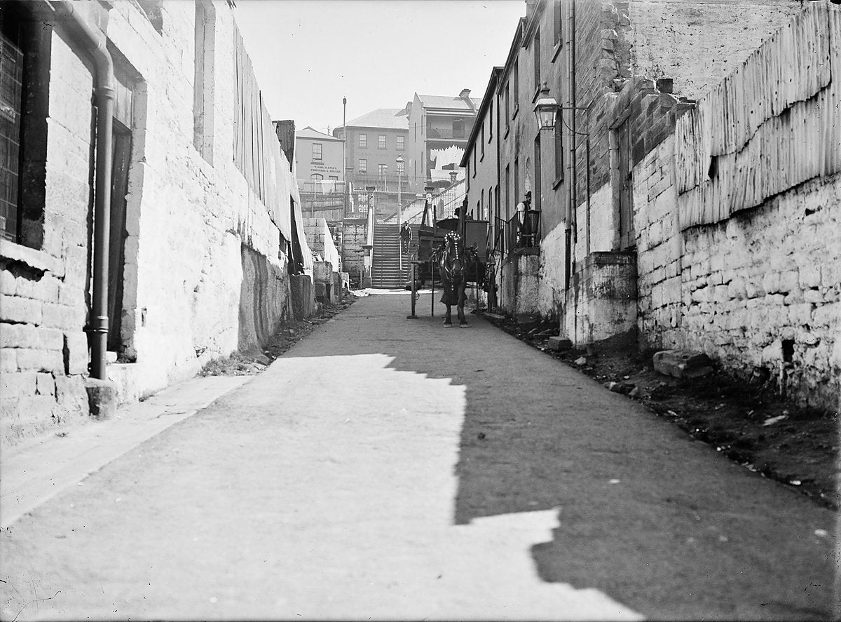 Horse-drawn cart in Little Essex Street, The Rocks — photograph, from The Rocks, circa 1901