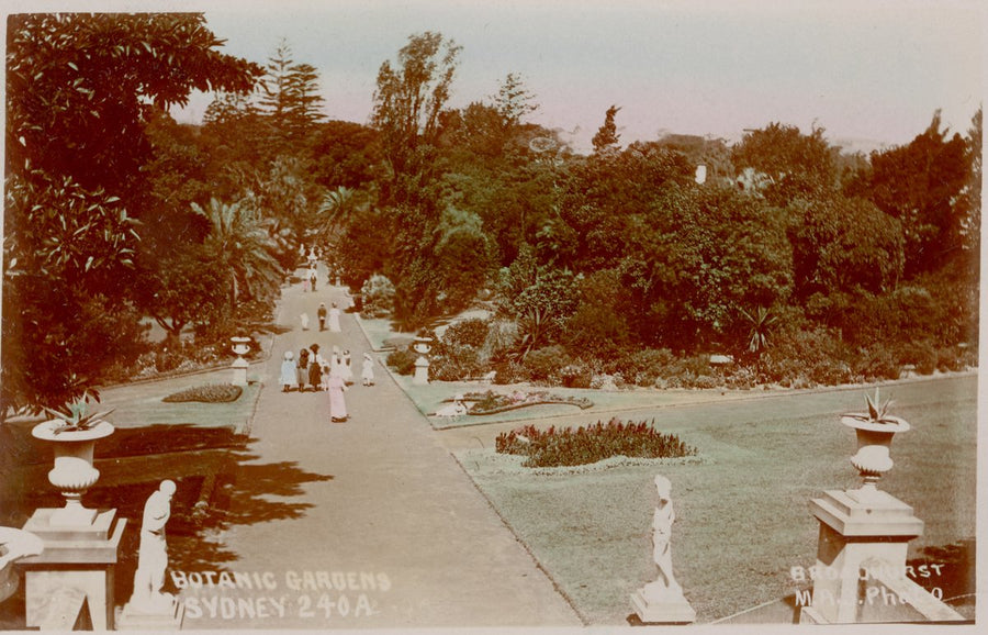 Visitors on a path in the Royal Botanic Garden, Sydney — photograph, from Royal Botanic Garden, Sydney, circa 1913